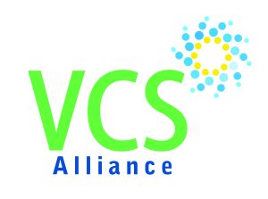 The VCSA Logo - Director of Performance and Assurance